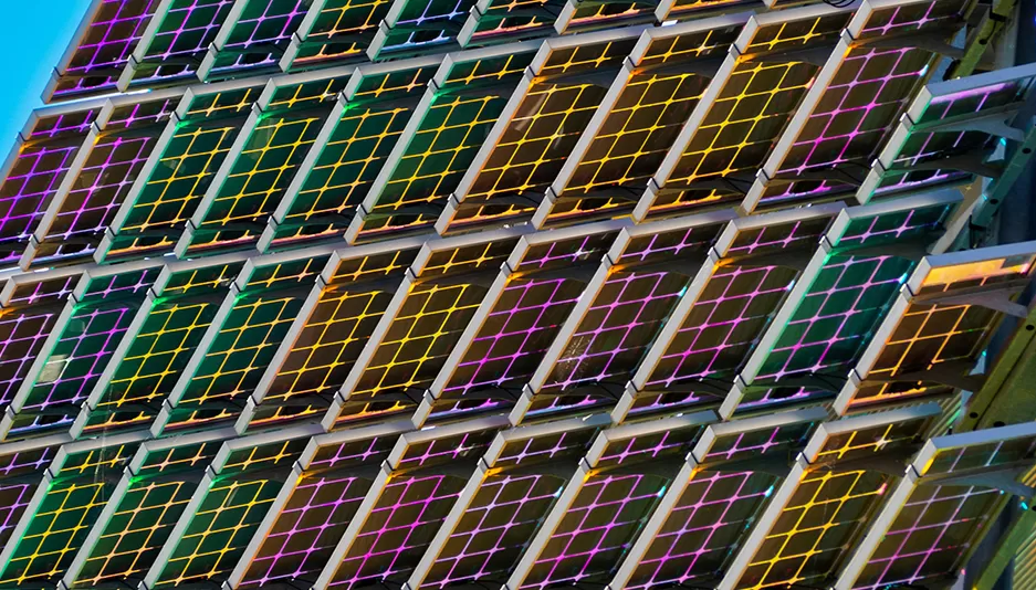 Phân phối khu vực và cảnh quan cạnh tranh